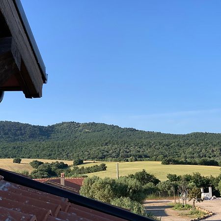 Il Poggio Di Musignano Vila Musignano  Exterior foto
