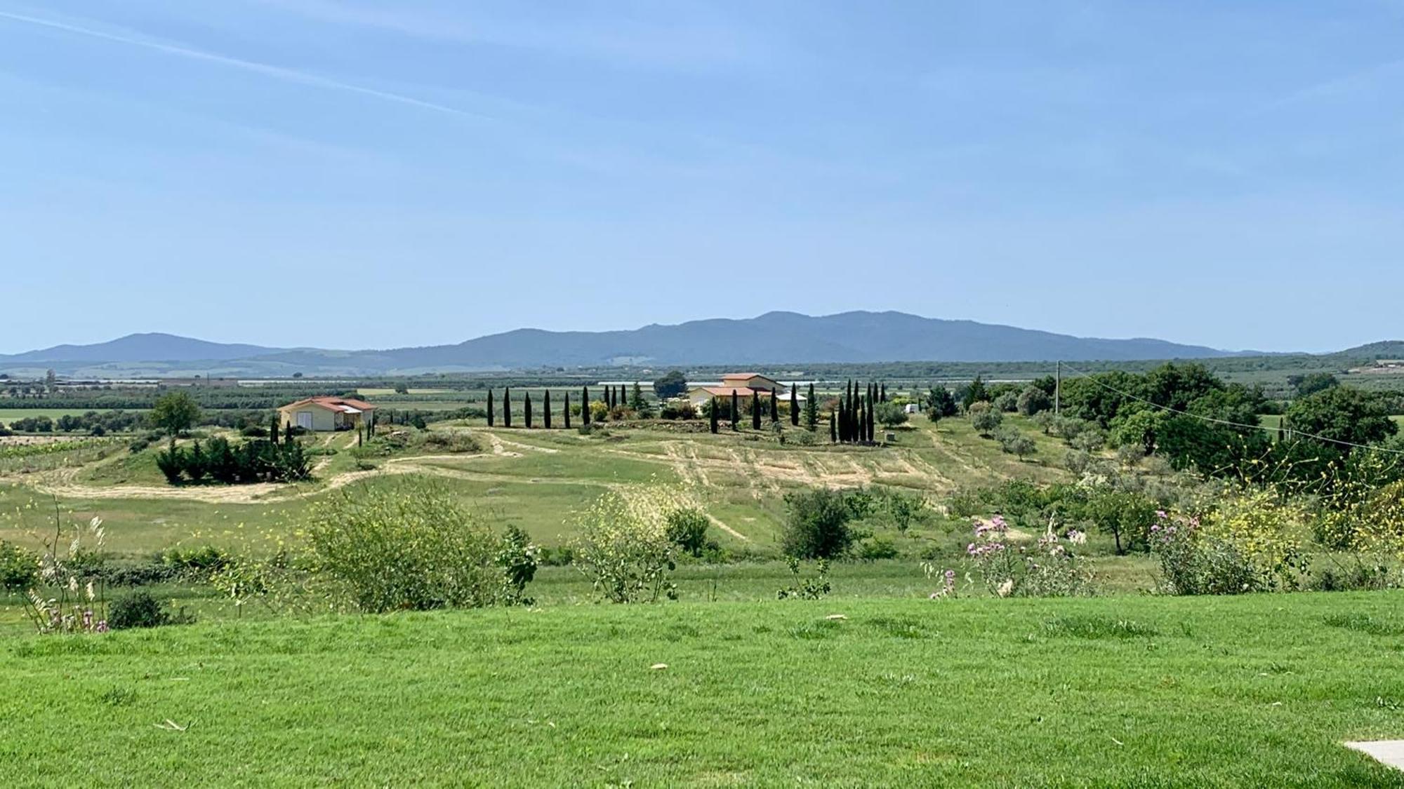 Il Poggio Di Musignano Vila Musignano  Exterior foto